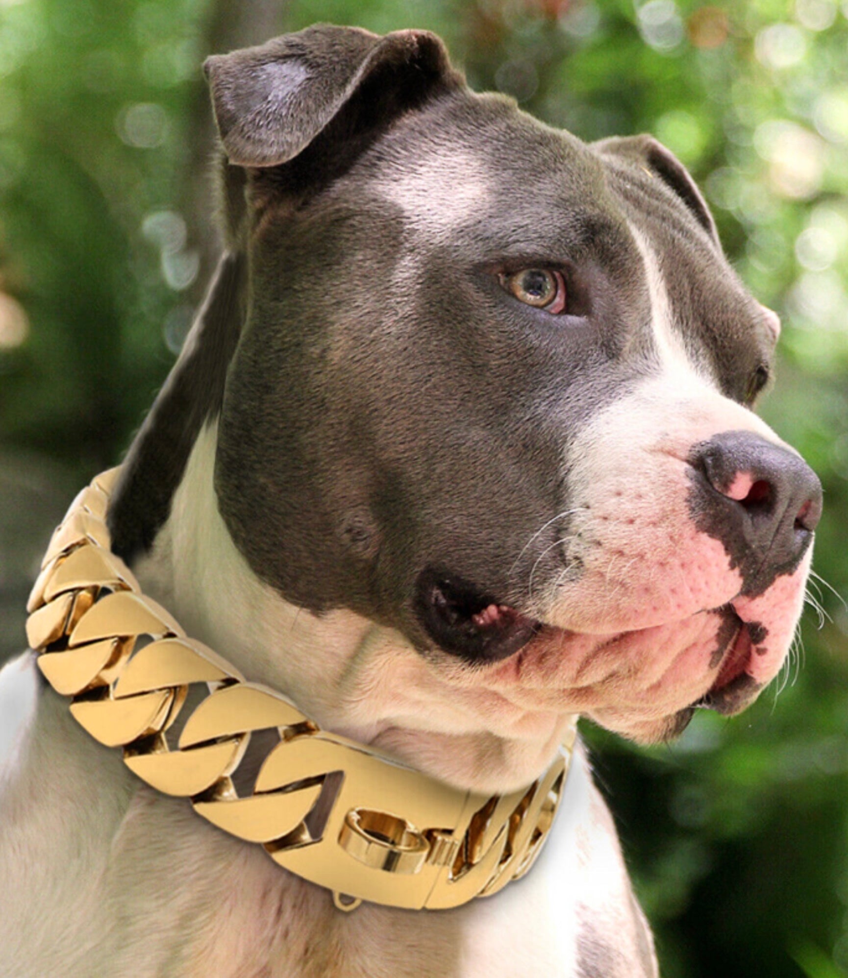 Pink cuban link dog sales collar