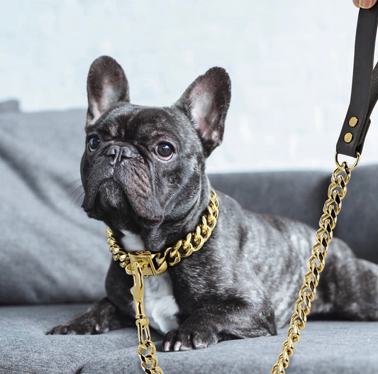 Luxury Cuban Link Gold Dog Collar and Leash
