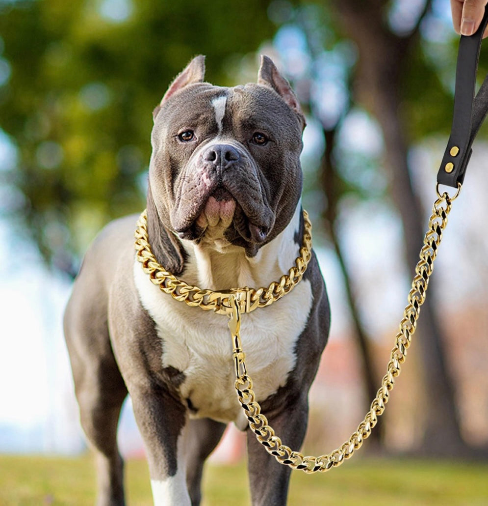 Luxury Cuban Link Gold Dog Collar and Leash