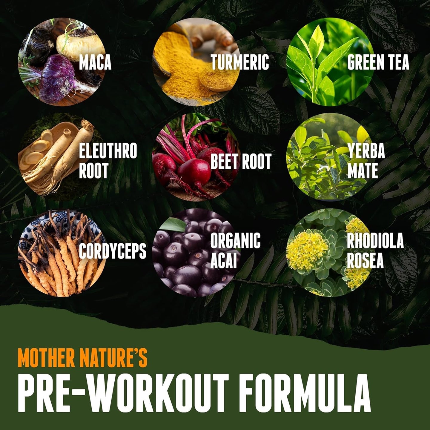 100% Natural Plant-Based Pre Workout Powder for Men & Women, Passionfruit Guava